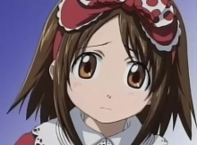小春野白绢