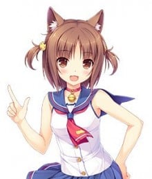红豆