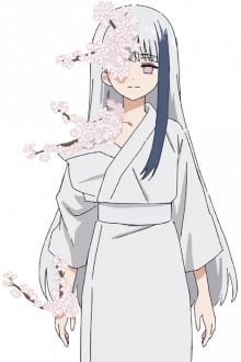 夜桜蕾
