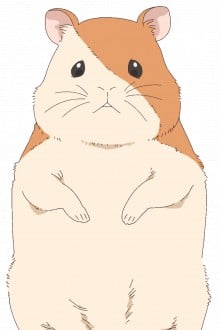 小哈姆