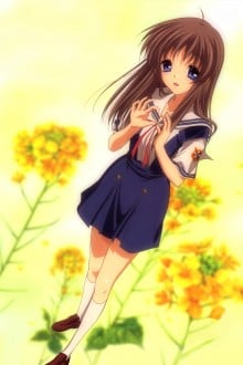 宫泽有纪宁