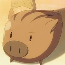 牡丹