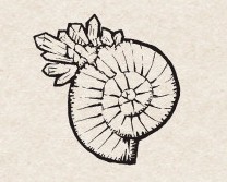 涩谷圭一郎