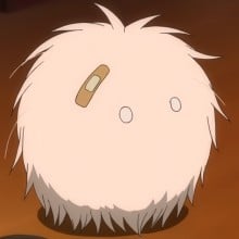 毛球