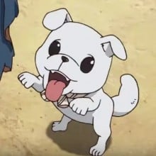 粉笔