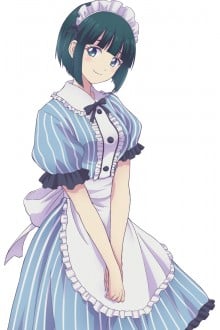 小野白菊