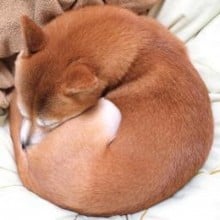 壁井有可子