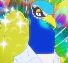 孔雀