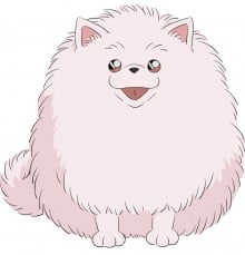 波美太郎