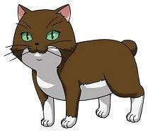 くまねこ