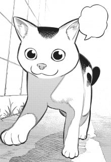 银