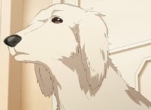 金持ちの家の犬