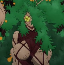 魔王芙蓉