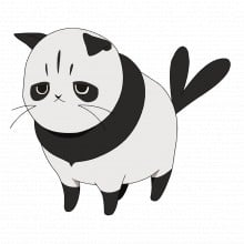 帕喵