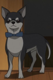 吉尼