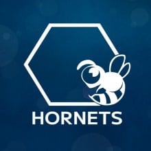 HORNETS