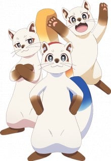 ウツギ