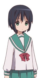 富樫樟叶