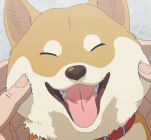 黄豆粉