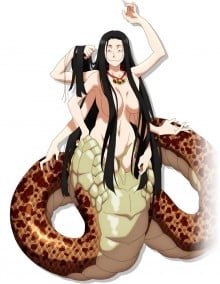 斑小姐