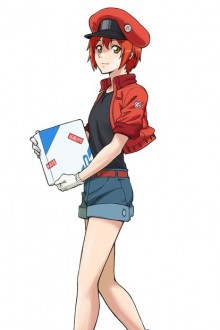 红血球