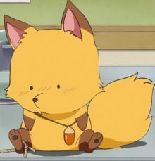 狐狸