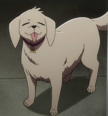 大五郎