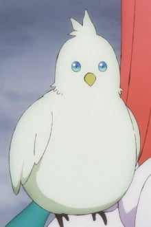 ピーちゃん