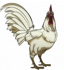 鸡志