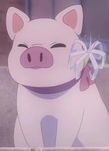 サクラ