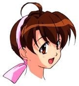 樟叶枫子