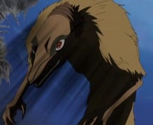 蛮蛮
