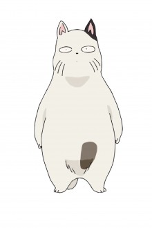 被炉猫