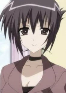 真仪琉纱鸟