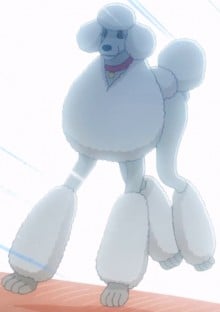 爱抖露