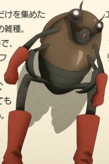 暮蝉油蝉及其他四分之一混血蝉