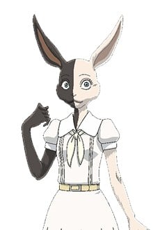 瑞知