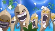 オタネニンジン