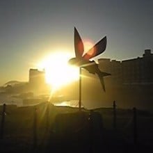 松本浩树