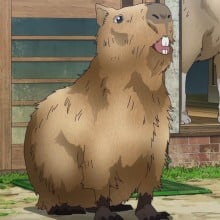 カピバラ