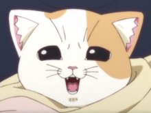 小猫