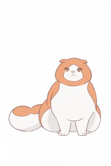 保健の先生