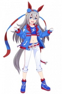 玉藻十字