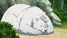 大灰熊