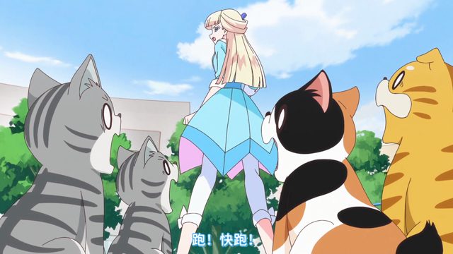 ねこ、ネコ、猫集会
