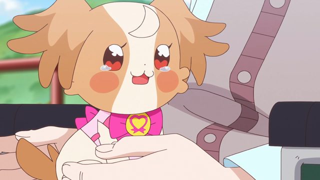 こむぎの帰る場所 [AI翻译]