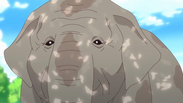 動物園の推しアニマル [AI翻译]