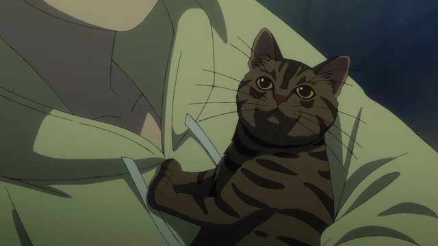 喵喵 喵喵 喵喵喵喵喵