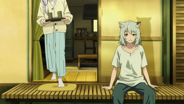 本喵也是人生父母养的喵
