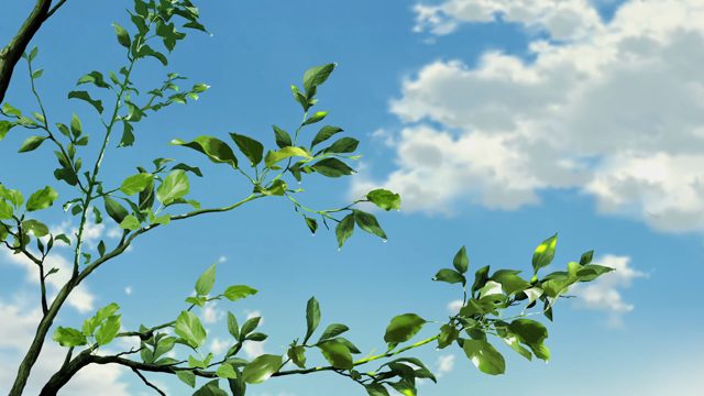 ニャーたちも師走は走るにゃ
